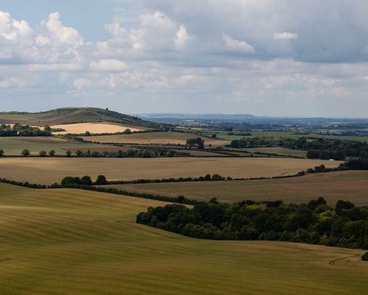 building-plots-wanted-bedfordshire