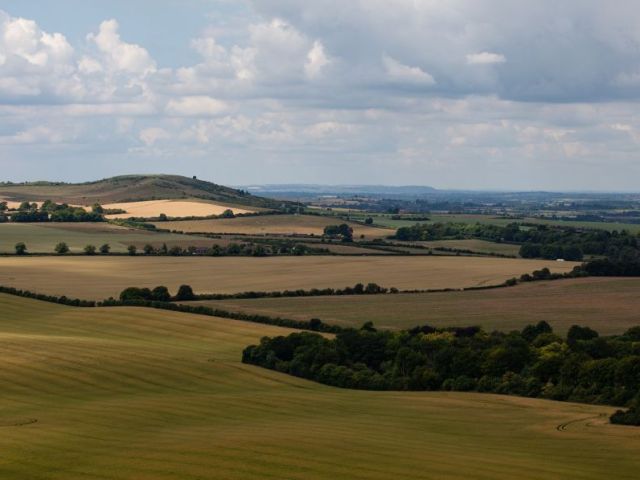 building-plots-wanted-bedfordshire
