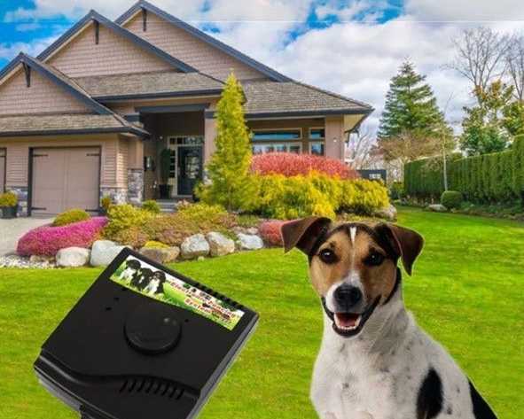 electronic-fencing-system-w-227-for-pet-safety