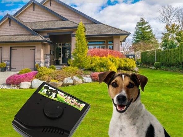 electronic-fencing-system-w-227-for-pet-safety