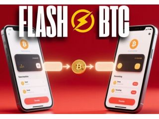 btc-flasher-software-solutions-small-0