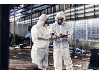 asbestos-management-survey-for-safe-compliant-properties-small-0