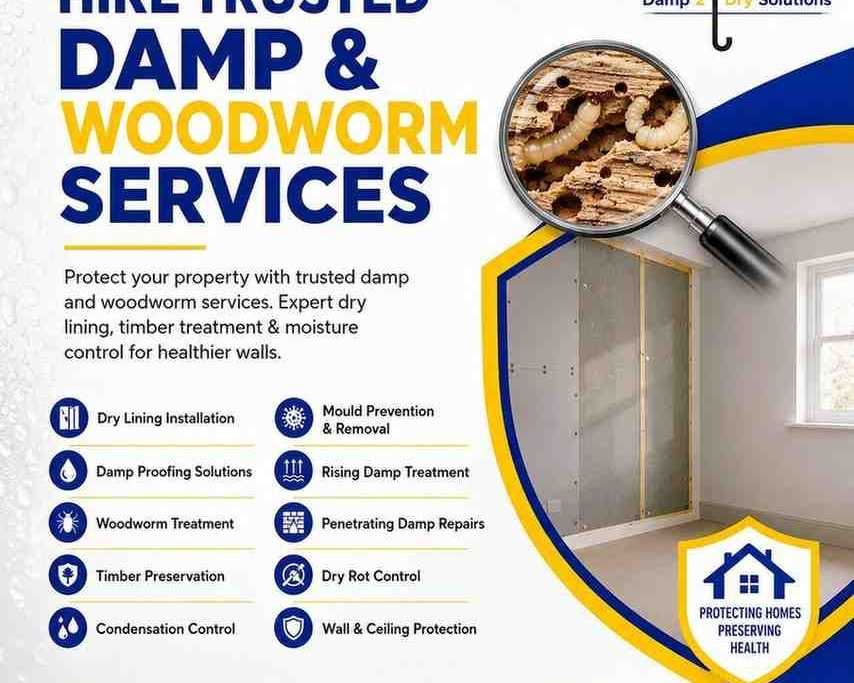 professional-damp-woodworm-control