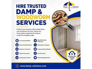 professional-damp-woodworm-control-small-0