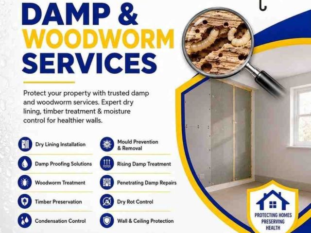 professional-damp-woodworm-control