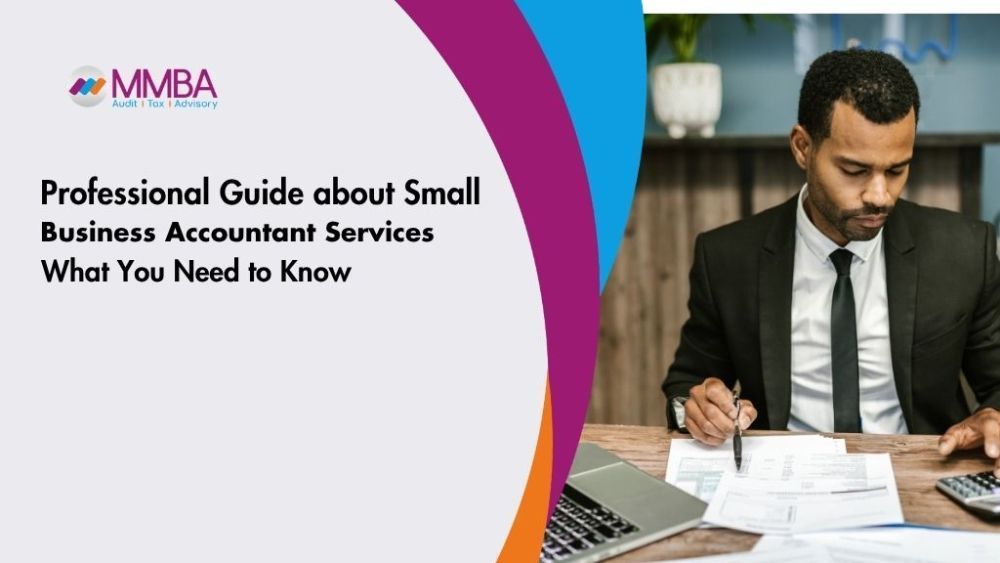 professional-guide-about-small-business-accountant-services-big-0