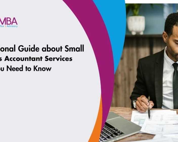 professional-guide-about-small-business-accountant-services