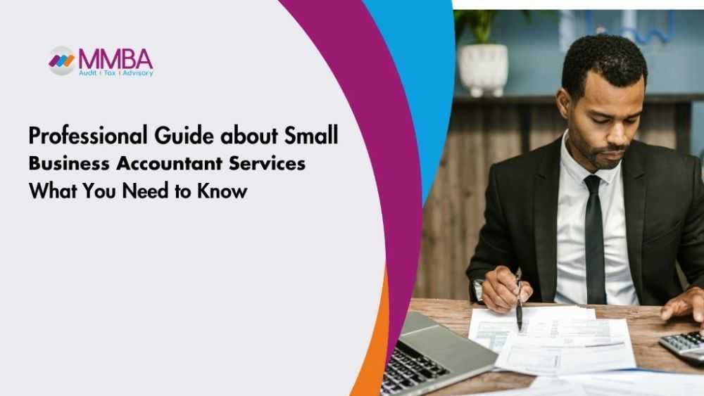 professional-guide-about-small-business-accountant-services-big-0