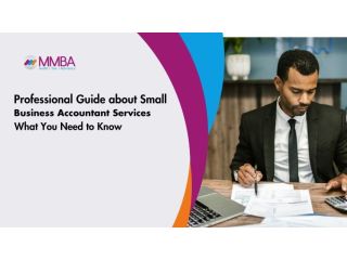 professional-guide-about-small-business-accountant-services-small-0