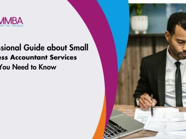professional-guide-about-small-business-accountant-services