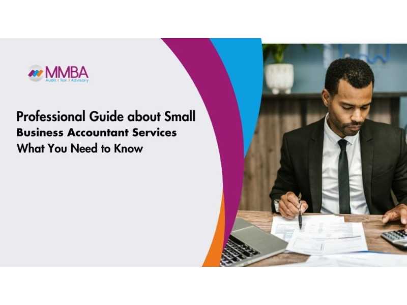professional-guide-about-small-business-accountant-services-small-0