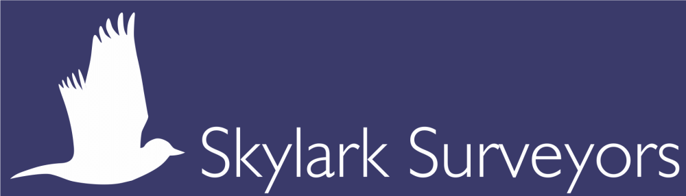 chartered-building-surveyor-uk-big-0