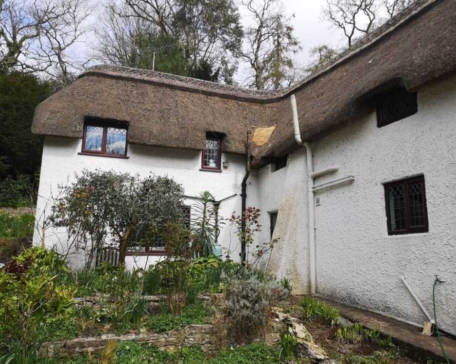 thatched-roof-maintenance-professional-thatch-roof-maintenance