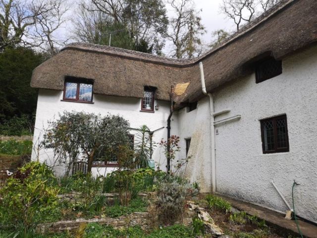 thatched-roof-maintenance-professional-thatch-roof-maintenance