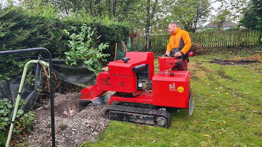 professional-tree-care-surgeons-in-roundhay-alwoodley-and-leeds-big-2