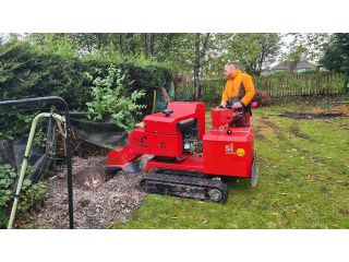 professional-tree-care-surgeons-in-roundhay-alwoodley-and-leeds-small-2