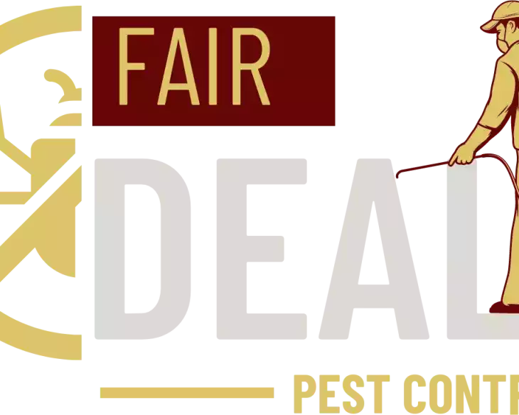 perfectly-finished-bed-bug-pest-control-hillingdon