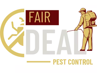 perfectly-finished-bed-bug-pest-control-hillingdon-small-0