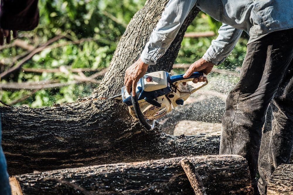 tsr-tree-services-big-0