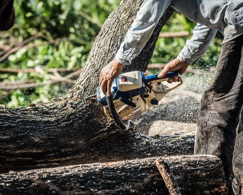 tsr-tree-services