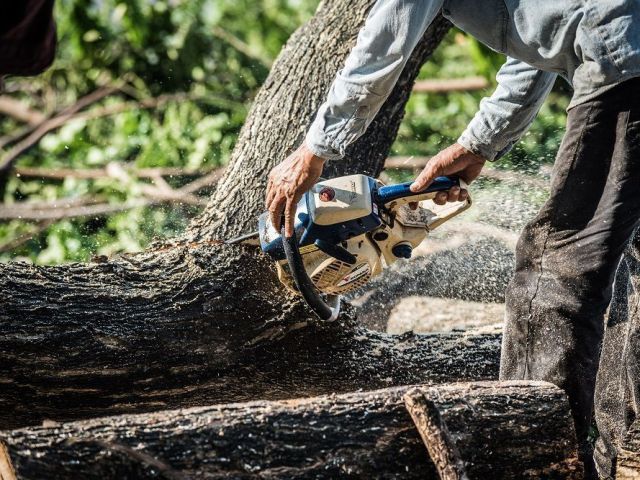 tsr-tree-services