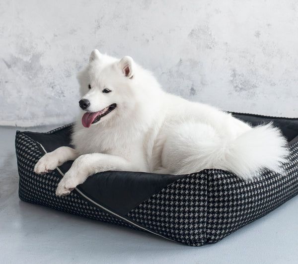 premium-dog-beds-big-0
