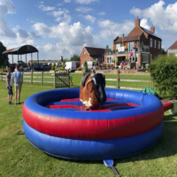 best-rodeo-bull-hire-in-heanor-big-0