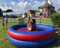 best-rodeo-bull-hire-in-heanor