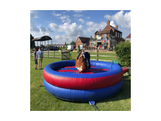 best-rodeo-bull-hire-in-heanor-small-0