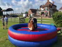 best-rodeo-bull-hire-in-heanor