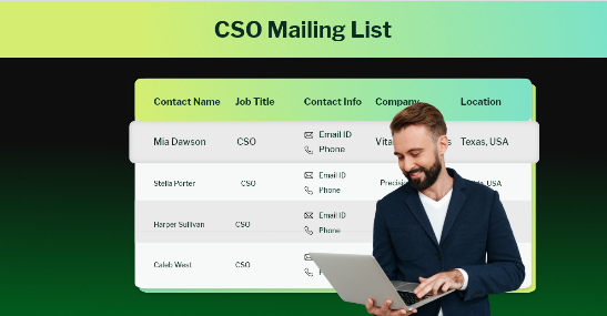 need-cso-email-list-for-cybersecurity-decision-makers-big-0