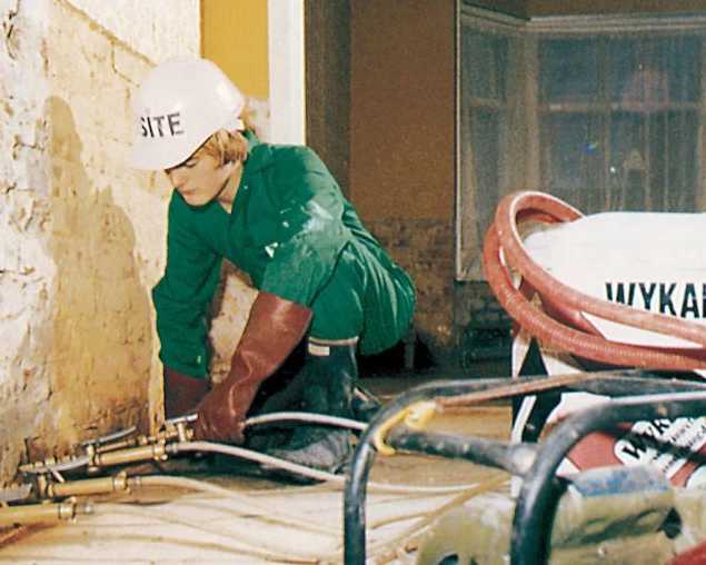 woodworm-treatment-dorset-woodworm-specialist-pest-control