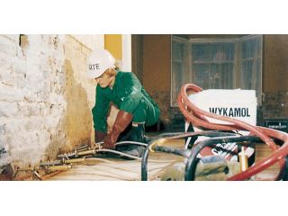 woodworm-treatment-dorset-woodworm-specialist-pest-control-small-0