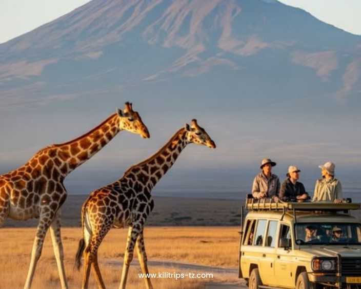 adventure-travel-in-tanzania-trekking-safari