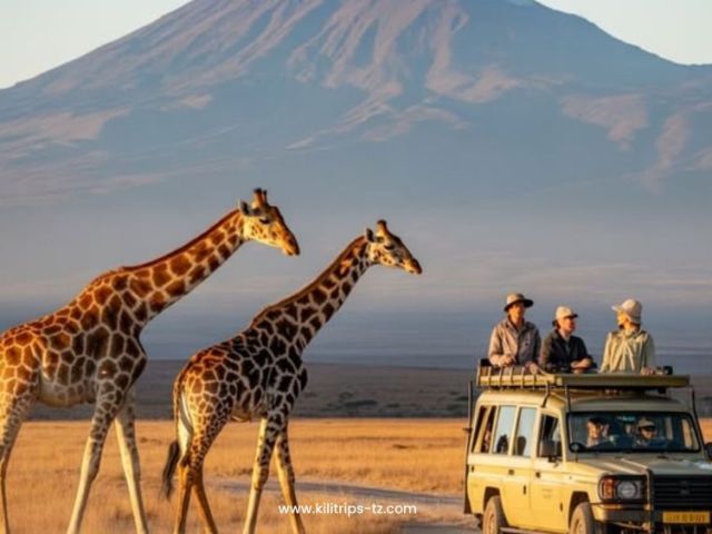 adventure-travel-in-tanzania-trekking-safari