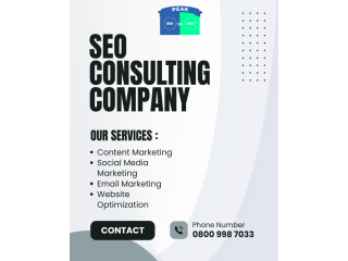 peak-seo-aeo-get-found-in-google-ai-search-answer-engines-small-0