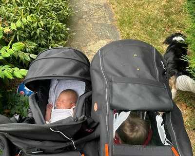 best-double-buggies-for-twins-and-siblings-every-budget-covered