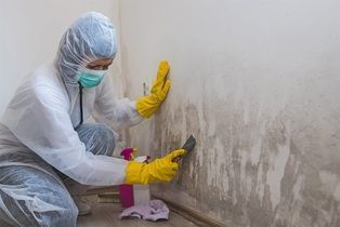 best-service-for-mould-cleaning-in-hersham-big-0