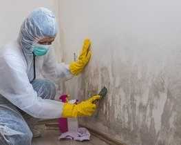 best-service-for-mould-cleaning-in-hersham