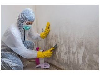best-service-for-mould-cleaning-in-hersham-small-0