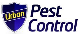 bird-control-bournemouth-at-urban-pest-control-big-0