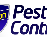 bird-control-bournemouth-at-urban-pest-control