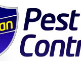 bird-control-bournemouth-at-urban-pest-control