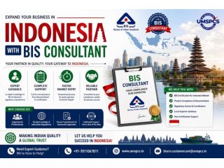 bis-consultant-in-indonesia-small-0