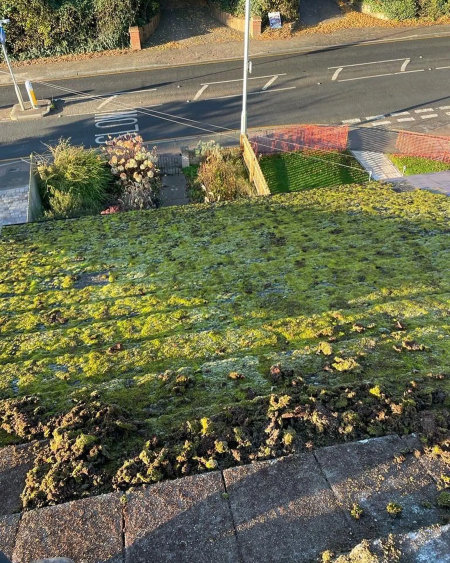 roof-cleaning-moss-removal-in-hemel-hempstead-big-0