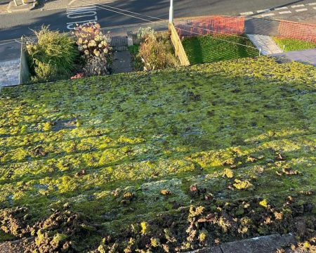 roof-cleaning-moss-removal-in-hemel-hempstead