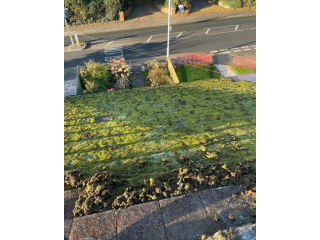 roof-cleaning-moss-removal-in-hemel-hempstead-small-0
