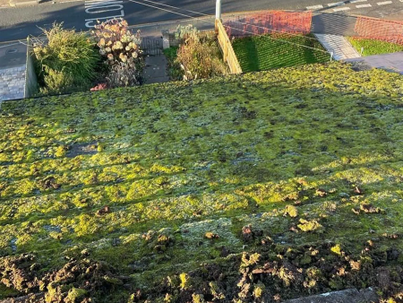 roof-cleaning-moss-removal-in-hemel-hempstead