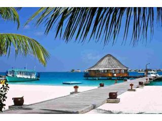 explore-maldives-all-inclusive-holidays-for-ultimate-relaxation-small-0