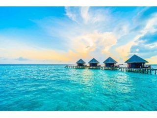 explore-maldives-all-inclusive-holidays-for-ultimate-relaxation-small-4